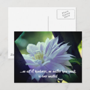 Carte Postale Clematis Flower Kindness Citation inspirante