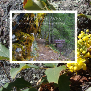Carte Postale Cliff Nature Trailhead, Grottes de l'Oregon, Orego