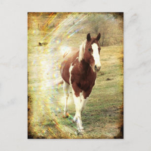 Carte Postale clinquant