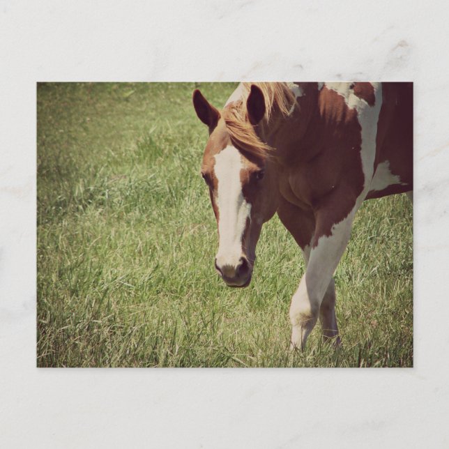 Carte Postale clinquant (Devant)