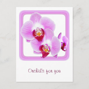 Carte Postale Closeup orchidée rayonnante photo avec cadre Carré