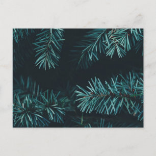 Carte Postale Closeuse de l'arbre de Noël