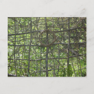 Carte Postale Clôture