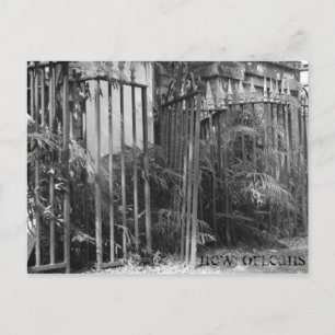 Carte Postale Clôture pointue