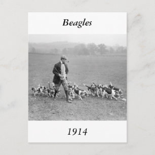 Carte Postale Club beagle, 1914