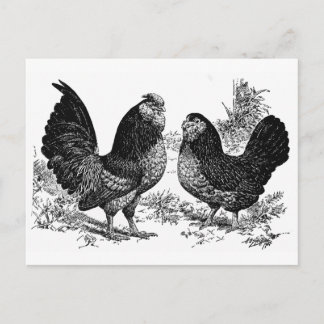 Carte Postale Club d'Anver