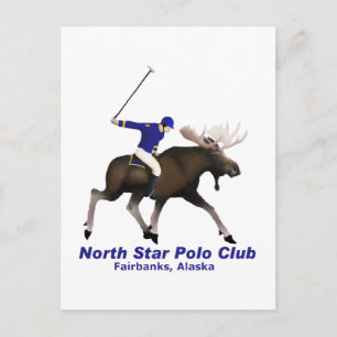 Carte Postale Club Polo North Star
