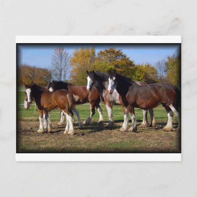 Carte Postale clydes (Devant)