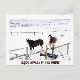 CARTE POSTALE CLYDESDALES DANS LA NEIGE