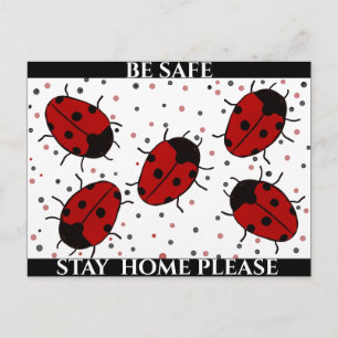 CARTE POSTALE COCCINELLE