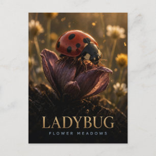 Carte Postale Coccinelle Prairies Fleuris Faune ANIMAL