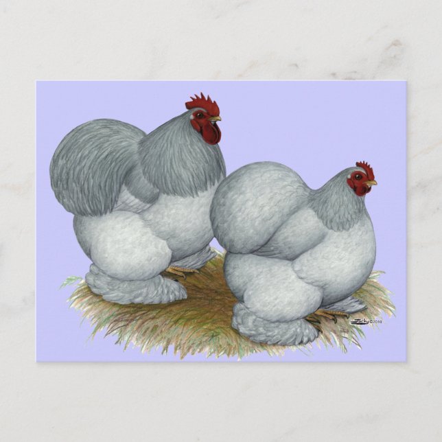 Carte Postale Cochin :  Auto bleu (Devant)