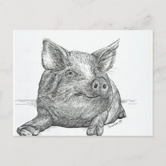 Carte Postale Cochon (Devant)