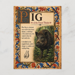 Carte Postale Cochon, Art de Bestiaire Médiéval