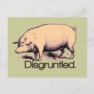 Carte Postale Cochon mécontent
