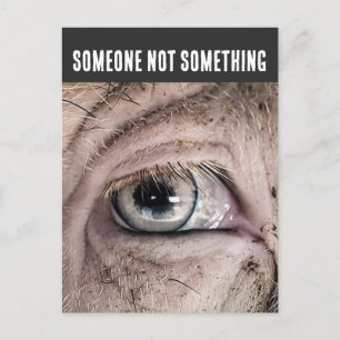 Carte postale COCHON, QUELQU'UN PAS QUELQUE CHOSE