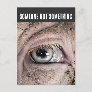 Carte postale COCHON, QUELQU'UN PAS QUELQUE CHOSE