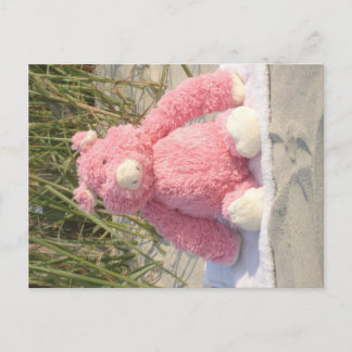 Carte Postale Cochon rose à la plage