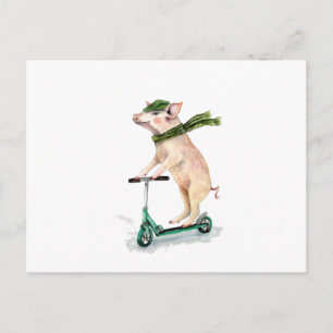 Carte Postale Cochon sur un scooter