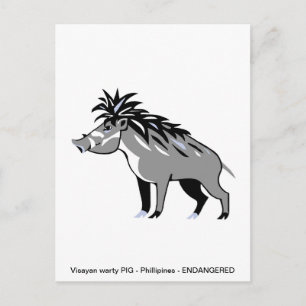 Carte Postale Cochon verruqueux visayen cool - Conservation - Ph