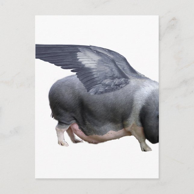 Carte Postale cochon volant (Devant)