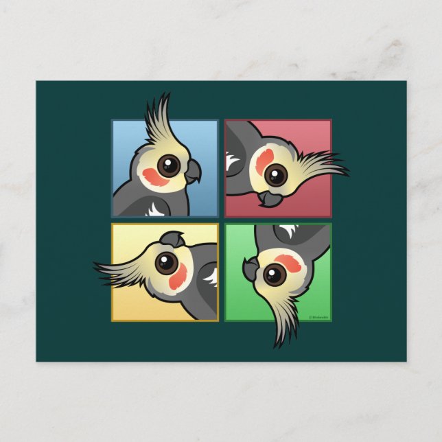 Carte Postale Cockatiel quatre couleurs (Devant)
