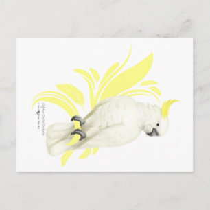 Carte Postale Cockatoo à pois de soufre