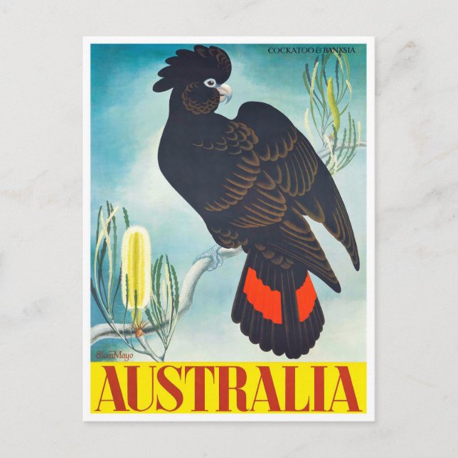 Carte Postale Cockatoo Australie voyage vintage (Devant)