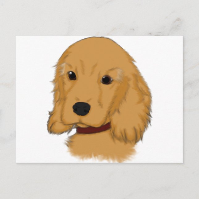 Carte Postale Cocker Spaniel (Devant)