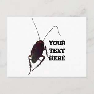 Carte Postale Cockroach croquant
