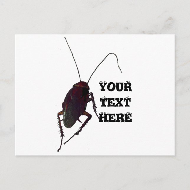 Carte Postale Cockroach croquant (Devant)