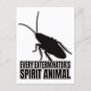 Carte Postale Cockroaches Cockroach Roach - Geek d'entomologie
