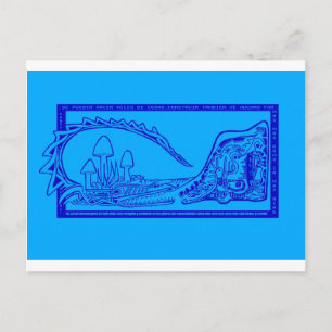 Carte Postale cocodrilo