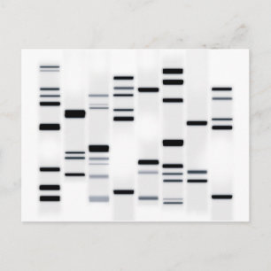 Carte Postale Code ADN noir sur blanc