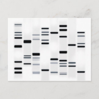 Carte Postale Code ADN noir sur blanc
