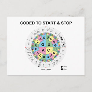 Carte Postale Codé Pour Démarrer Et Arrêter (Roue Codon)