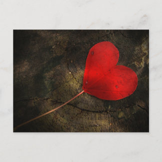 Carte Postale Coe ur