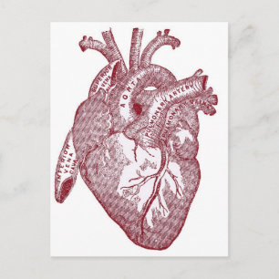 Carte Postale Coeur anatomique Vintage rouge