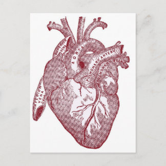 Carte Postale Coeur anatomique Vintage rouge