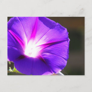 Carte postale Coeur brillant