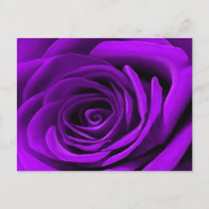 Carte Postale Coeur D'Un Rose Violet