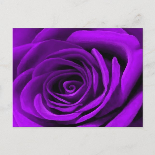 Carte Postale Coeur D'Un Rose Violet (Devant)