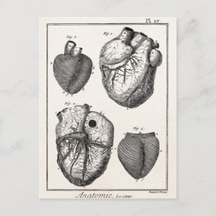 Carte Postale Coeurs cardiaques rétro Cardiac des années 1800 vi