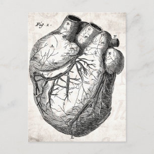 Carte Postale Coeurs cardiaques rétro Cardiac des années 1800 vi