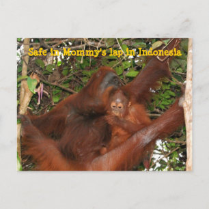 Carte Postale Coffre-fort sur les genoux de maman