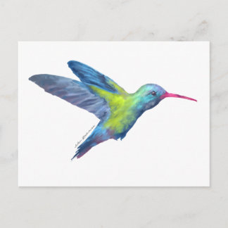 Carte Postale Colibri