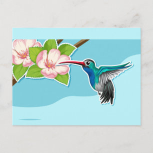 Carte postale Colibri