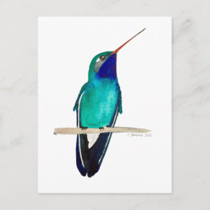 Carte Postale Colibri à bec large