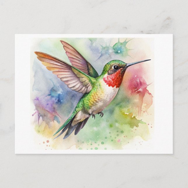 Carte Postale Colibri à gorge rubis au repos Aquarelle (Devant)