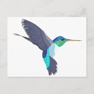 Carte Postale Colibri bleu et vert